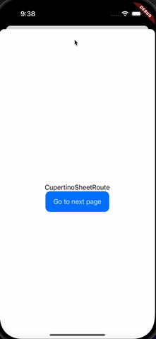 Flutter 3.29 发布啦，快来看有什么更新吧 - 图4