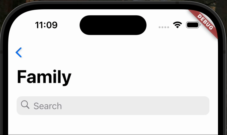 Flutter 3.29 发布啦，快来看有什么更新吧 - 图2