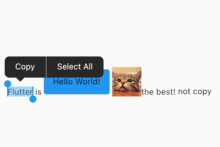 Flutter 3.3 之 SelectionArea 好不好用？用 “Bug” 带你全面了解它 - 图8