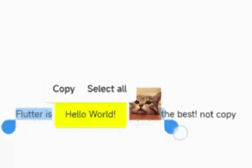 Flutter 3.3 之 SelectionArea 好不好用？用 “Bug” 带你全面了解它 - 图40