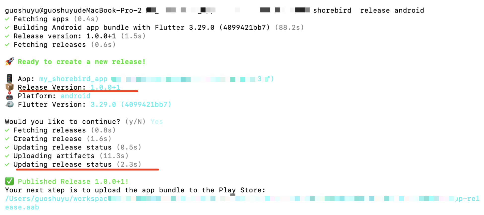 深入聊聊 Flutter 里最接近官方的热更新方案：Shorebrid - 图1