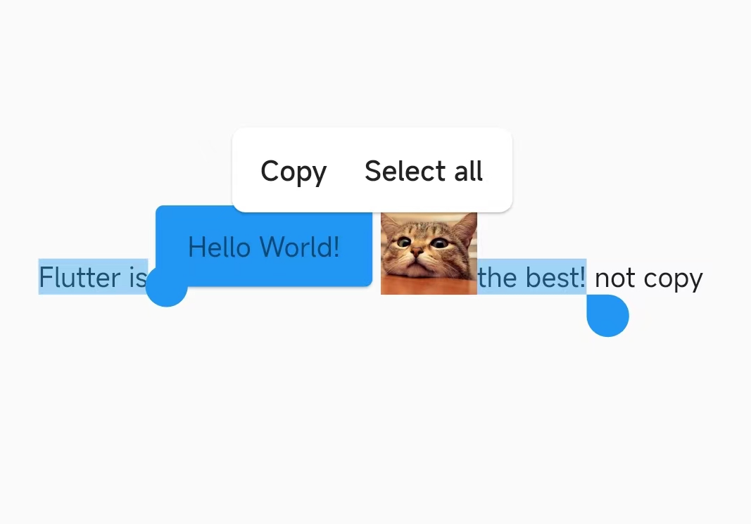 Flutter 3.3 之 SelectionArea 好不好用？用 “Bug” 带你全面了解它 - 图18