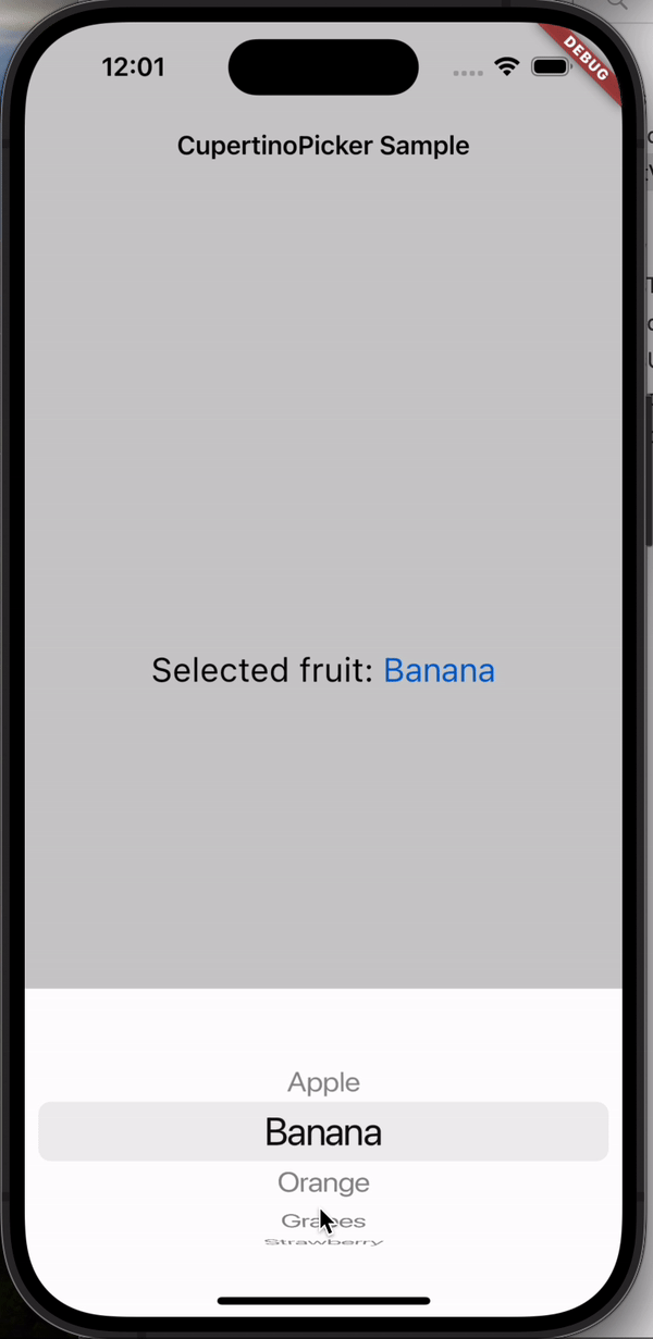 Flutter 3.27 发布啦，快来看有什么更新吧 - 图5