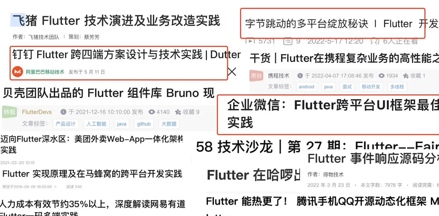 Flutter 与 Dart 的市场应用 - 图22