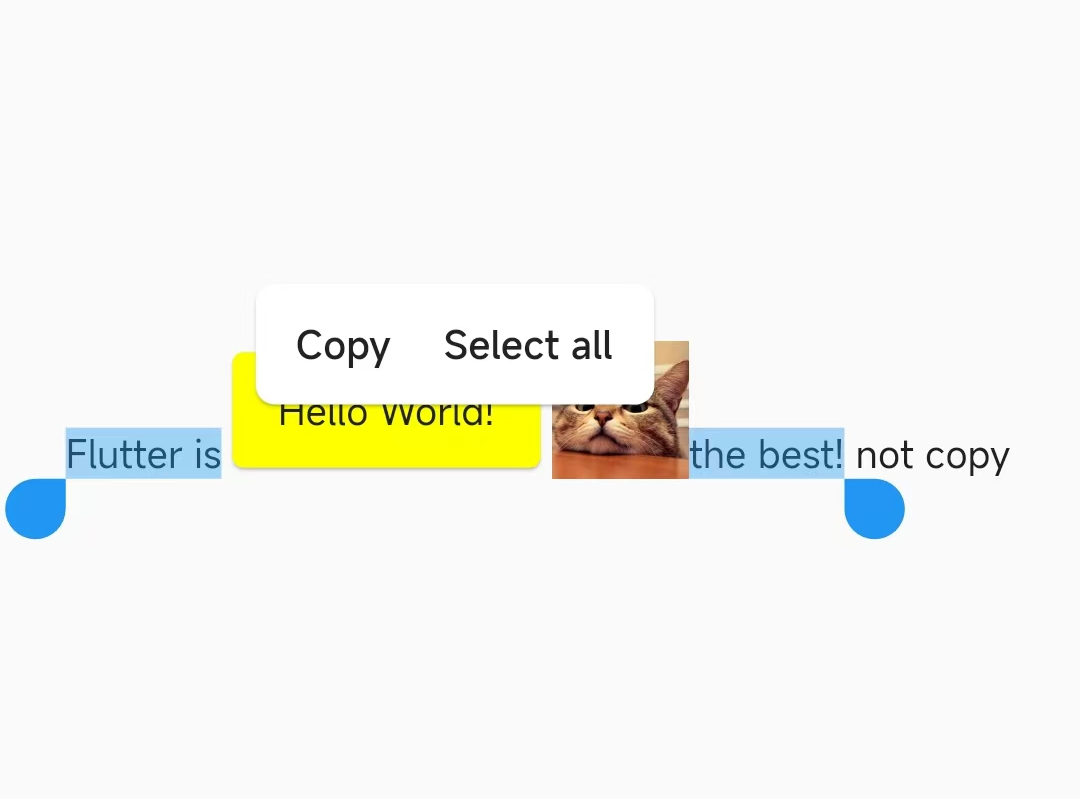 Flutter 3.3 之 SelectionArea 好不好用？用 “Bug” 带你全面了解它 - 图22