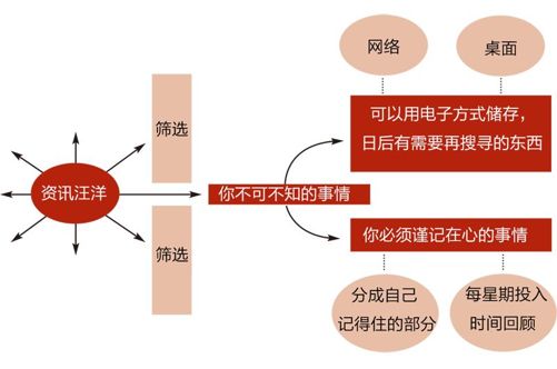 第2部分 诀窍、技巧与策略 英 - 图3
