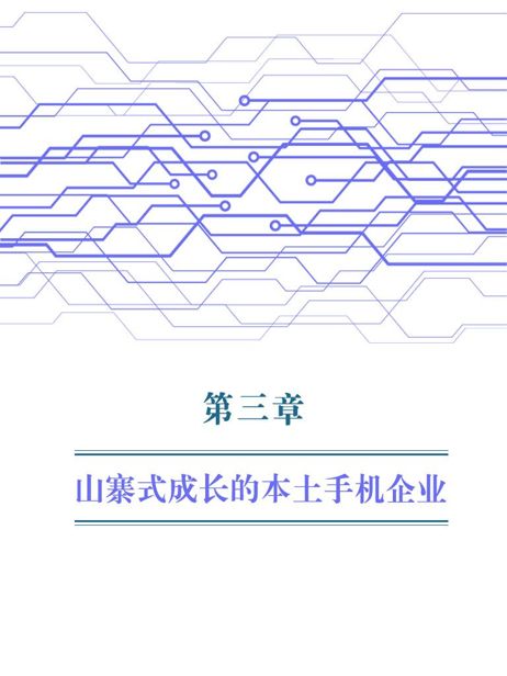 第3章 山寨式成长的本土手机企业 - 图1