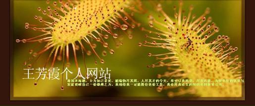 image421_4