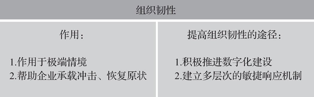 第一节       组织韧性与组织柔性 - 图3
