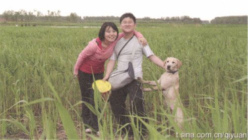 引言——相爱在微博 - 图4
